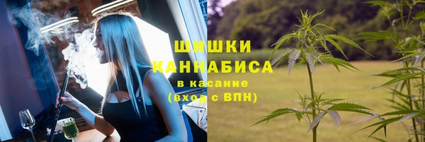PSILOCYBIN Коряжма
