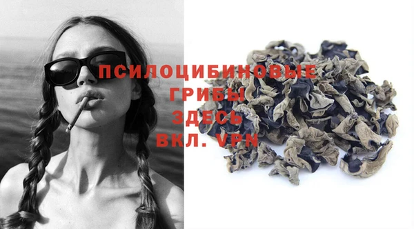 PSILOCYBIN Коряжма