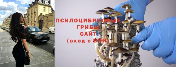 mdpv Корсаков