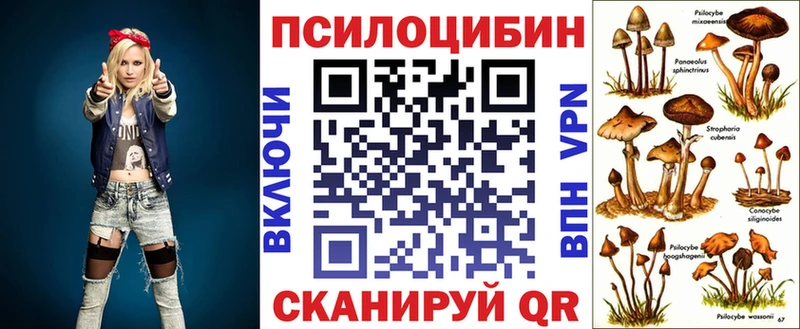 Псилоцибиновые грибы мухоморы  Купить  Дорогобуж 